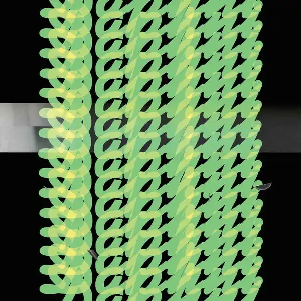 Jiaolong [2LP] Cheap