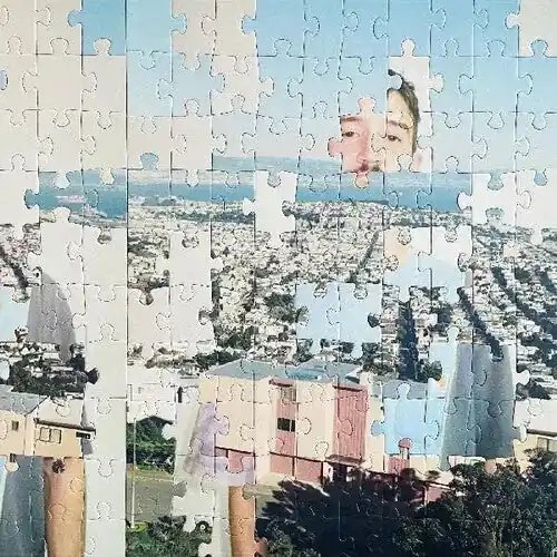 Puzzle Face [White Vinyl] Hot Picks