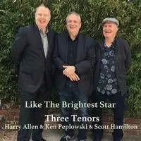 Best Choice Like The Brightest Star [2LP] (import)